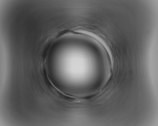 X0000114060617200910051218