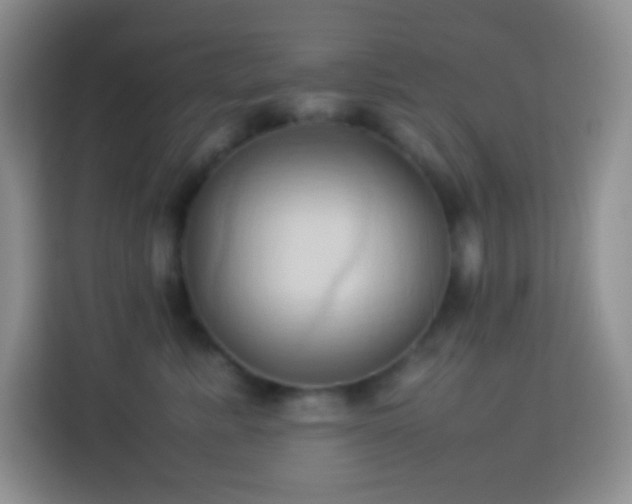 X0000114060619200910051218