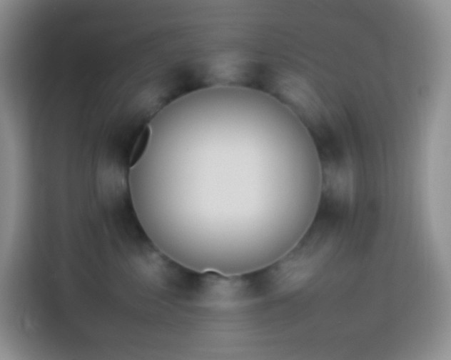 X0000114060621200910051218