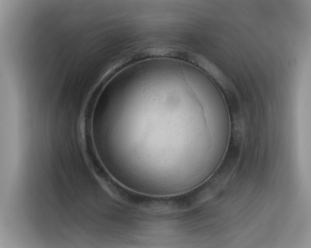 X0000114060626200910051217
