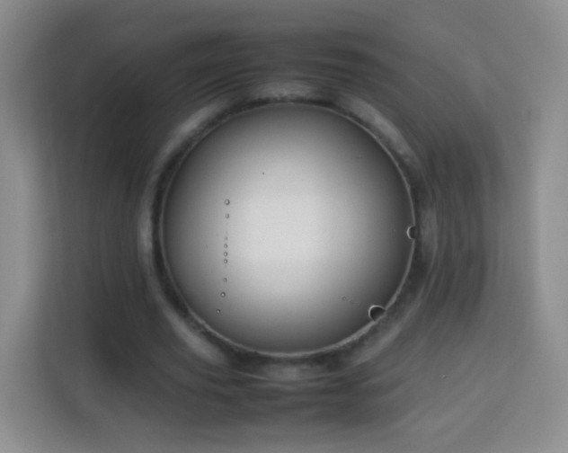 X0000114060629200910051217