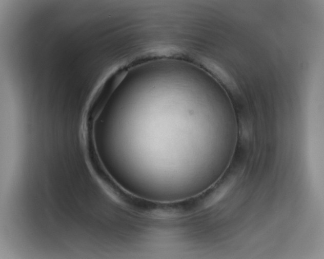 X0000114060630200910051217