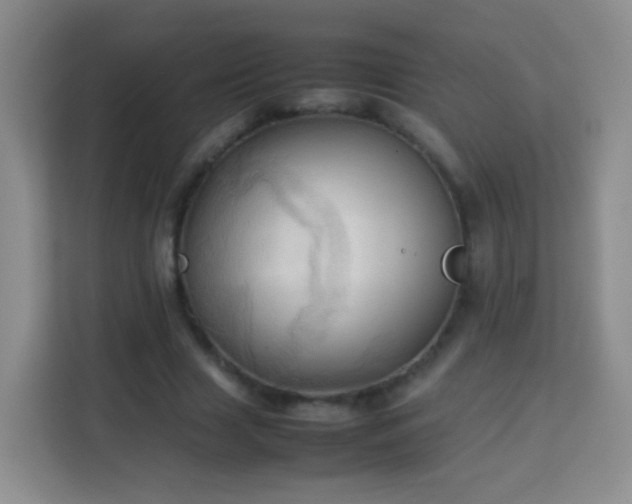 X0000114060633200910051217