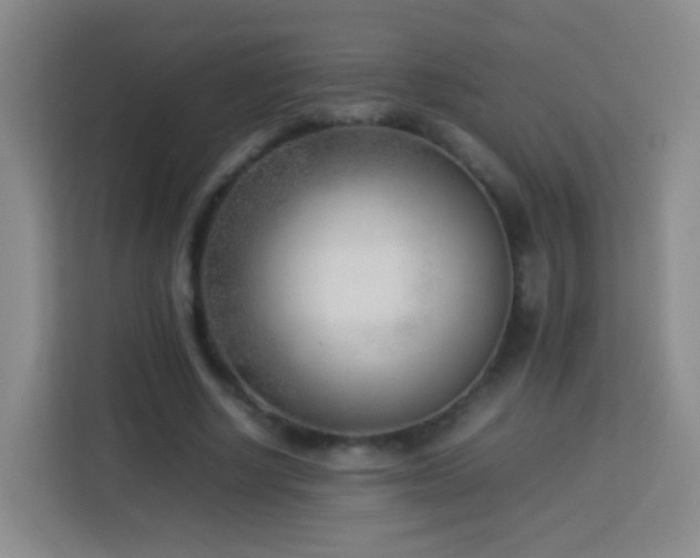 X0000114060634200910051217