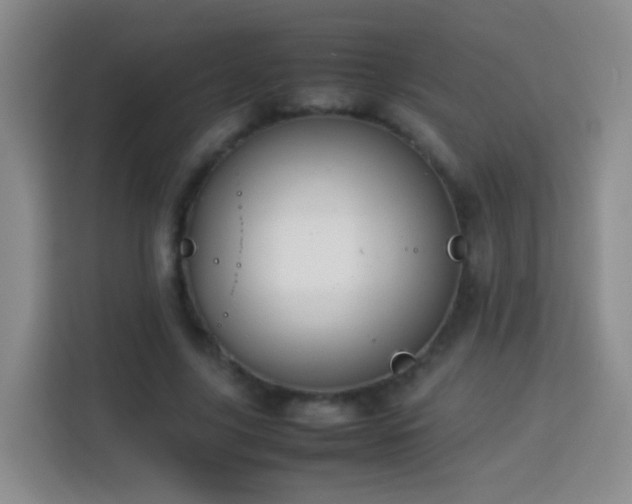 X0000114060635200910051217