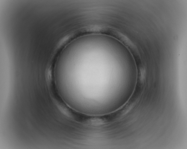 X0000114060636200910051217