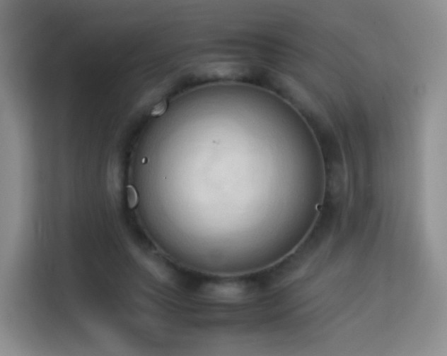 X0000114060639200910051217