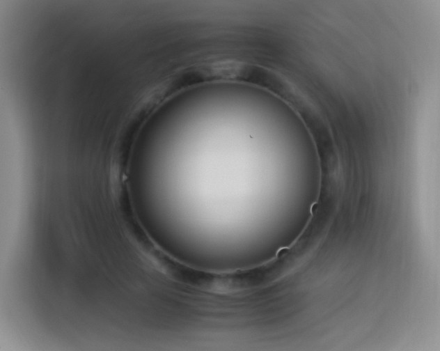 X0000114060641200910051217