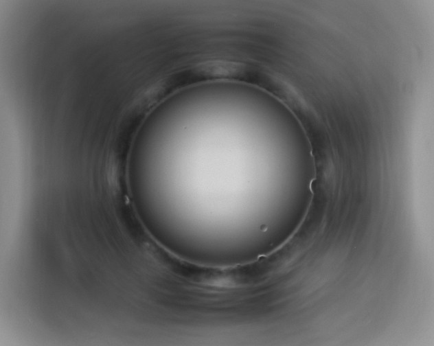 X0000114060643200910051217