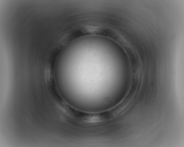 X0000114060651200910051217