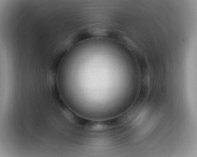 X0000114060658200910051217