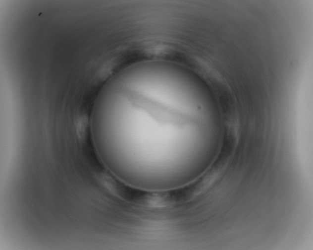 X0000114060660200910051217