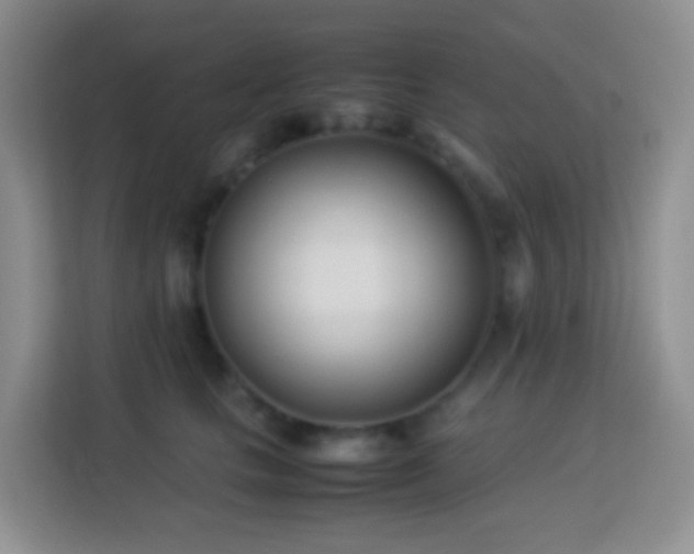 X0000114060661200910051217