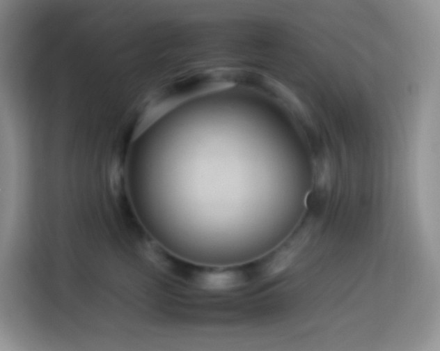 X0000114060669200910051218