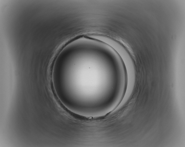 X0000114060673200910051217