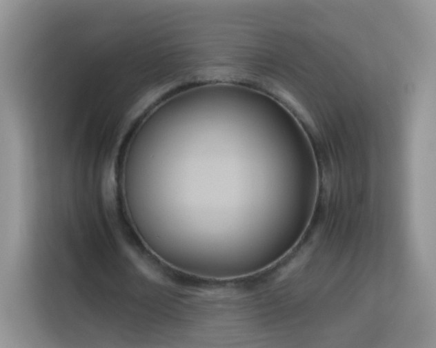 X0000114060674200910051217