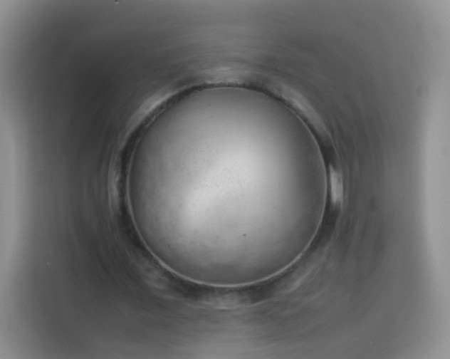 X0000114060675200910051217