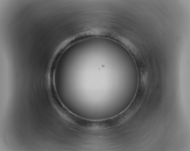 X0000114060678200910051217