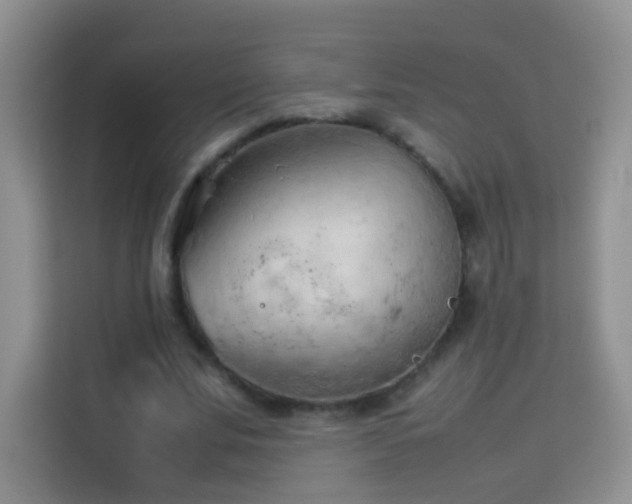 X0000114060679200910051217