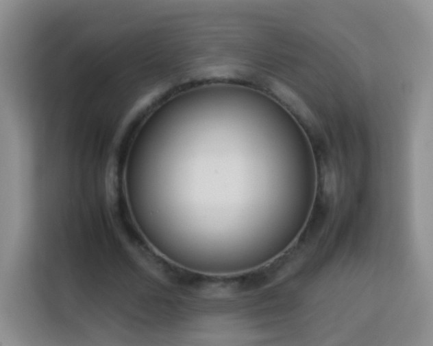 X0000114060680200910051217