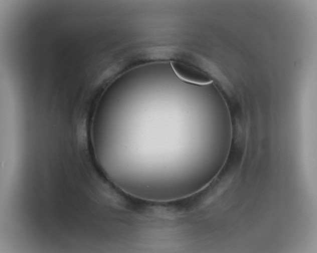 X0000114060681200910051217