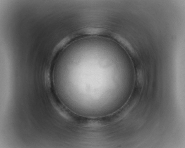 X0000114060682200910051217