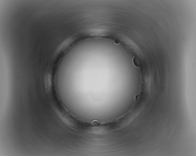 X0000114060686200910051217