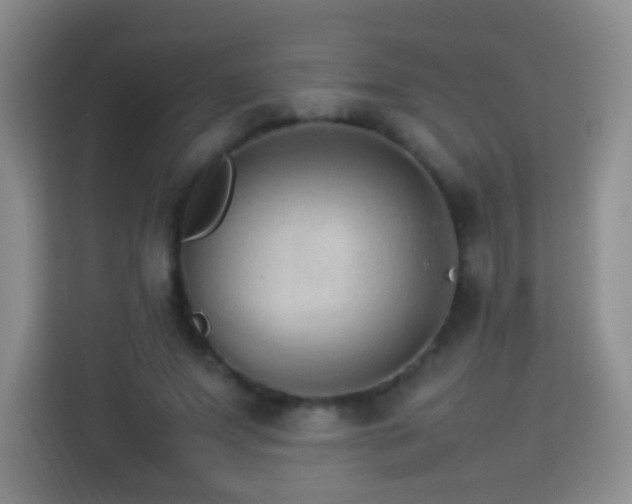 X0000114060687200910051217