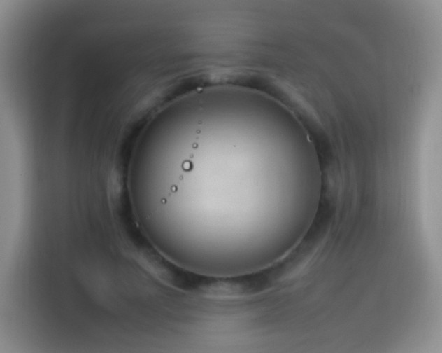 X0000114060691200910051217