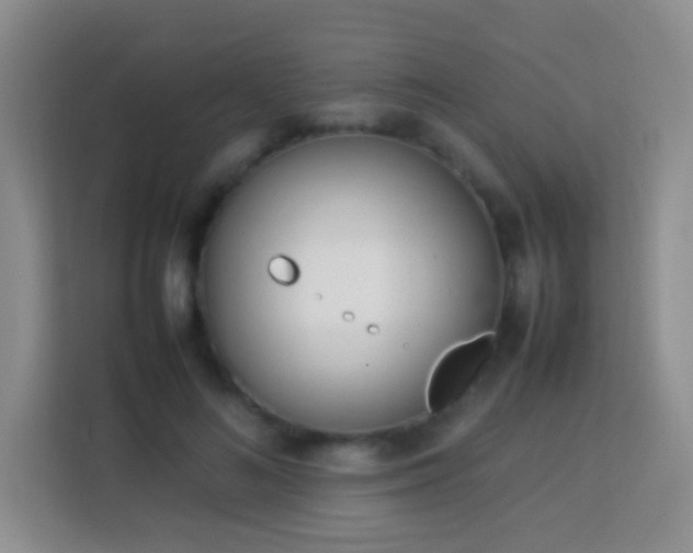 X0000114060692200910051217