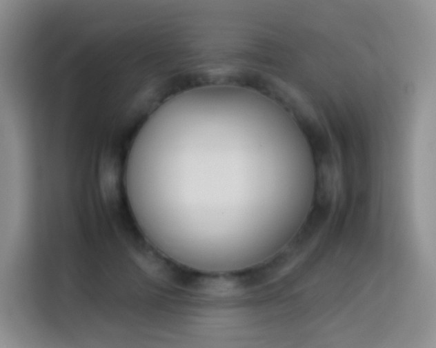 X0000114060698200910051217