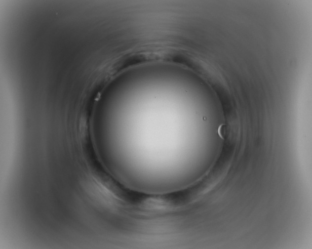 X0000114060699200910051217