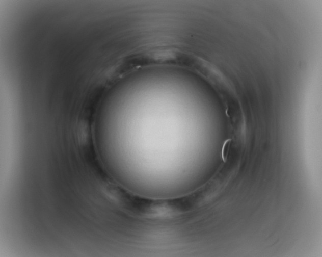 X0000114060704200910051217