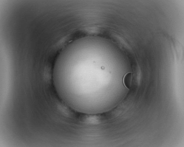 X0000114060710200910051216