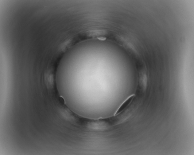 X0000114060716200910051216