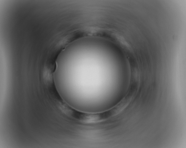 X0000114060719200910051216