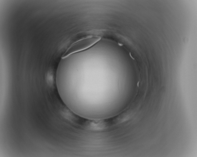 X0000114060720200910051216
