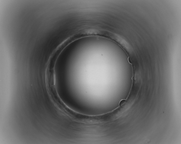 X0000114060722200910051216