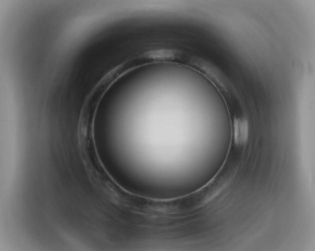 X0000114060723200910051216