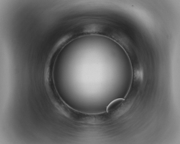 X0000114060724200910051216