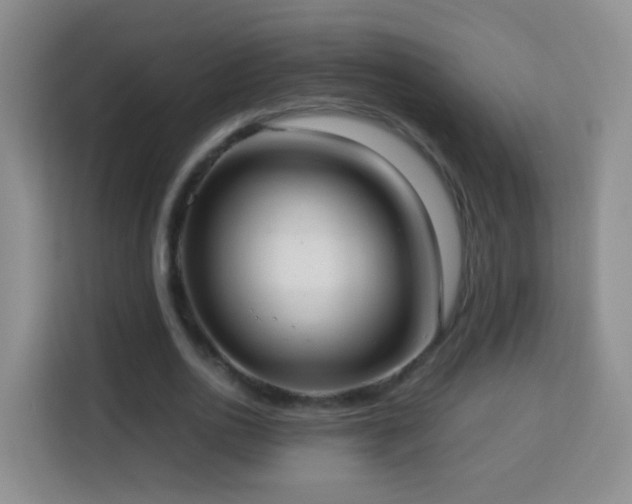 X0000114060726200910051216