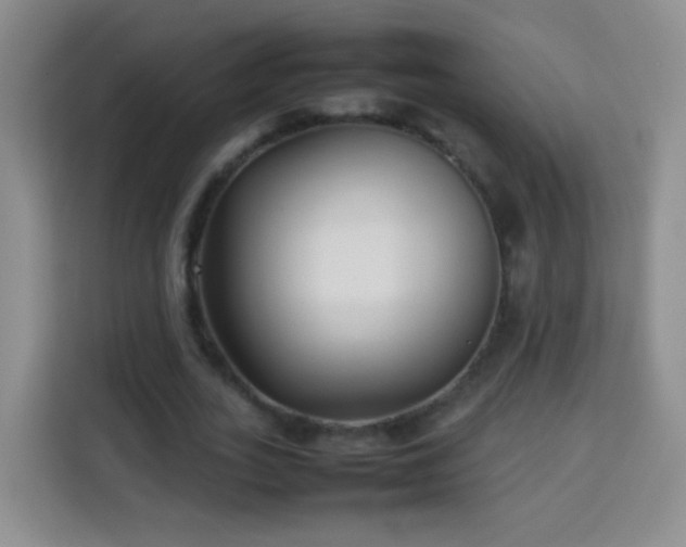 X0000114060727200910051216