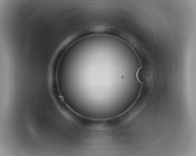 X0000114060728200910051216