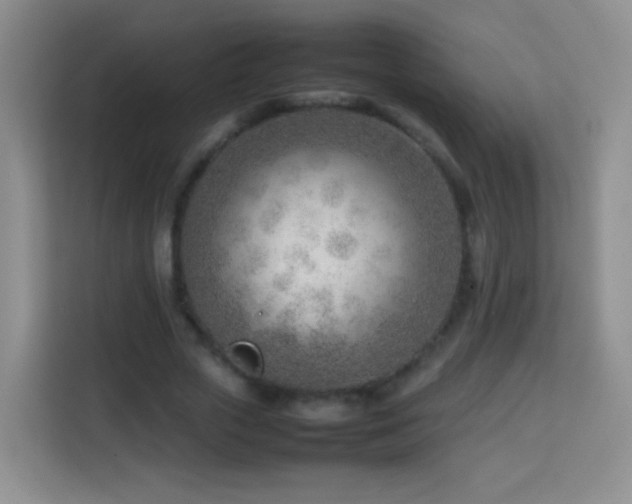 X0000114060729200910051216