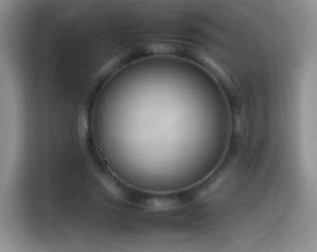 X0000114060733200910051216