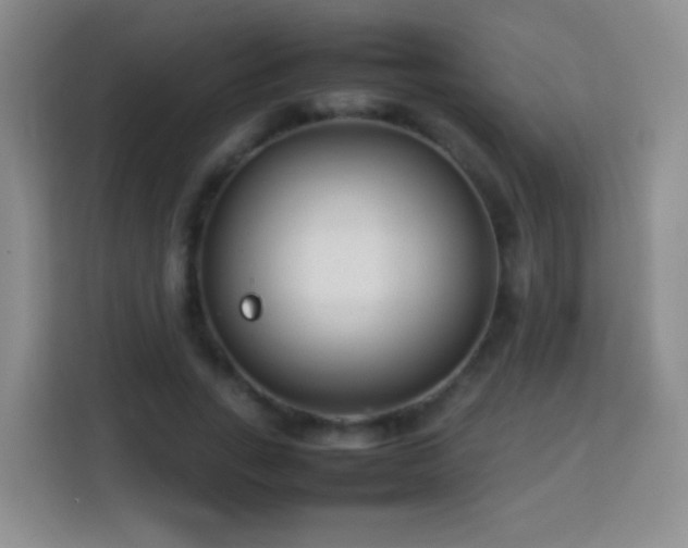 X0000114060735200910051216