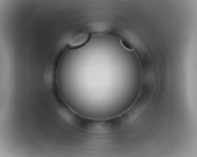 X0000114060736200910051216