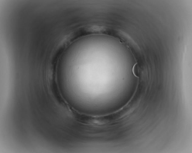 X0000114060739200910051216