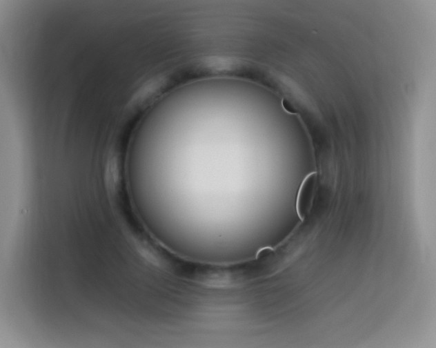 X0000114060740200910051216