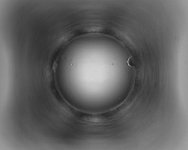 X0000114060743200910051216